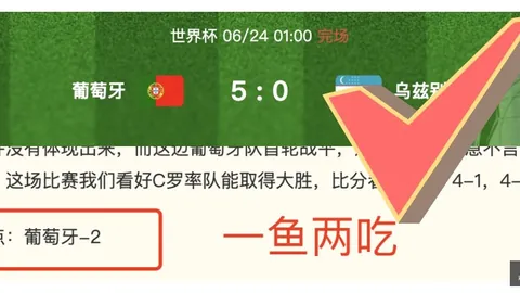 开云体育官方 152548 9